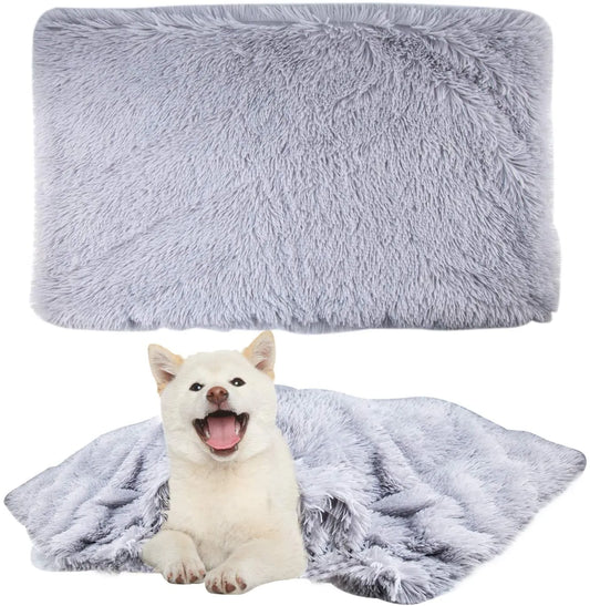 Couverture plaid pour chien